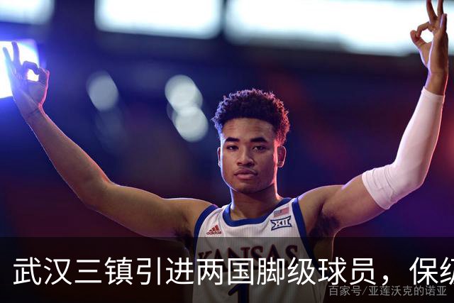 武汉三镇引进两国脚级球员，保级前景乐观